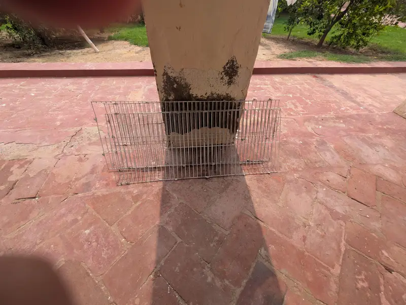 Australian Parrot Cage — photo 8