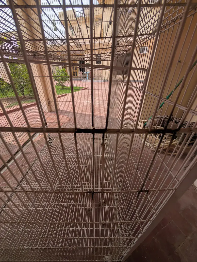 Australian Parrot Cage — photo 9
