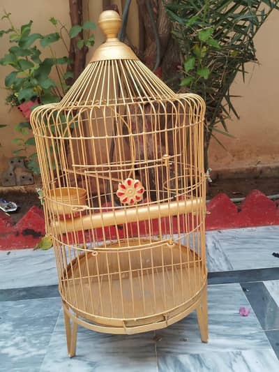 parrots cage