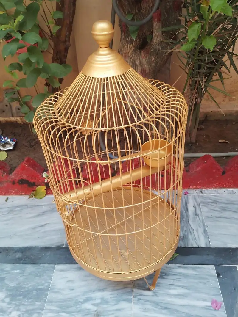 parrots cage — photo 3