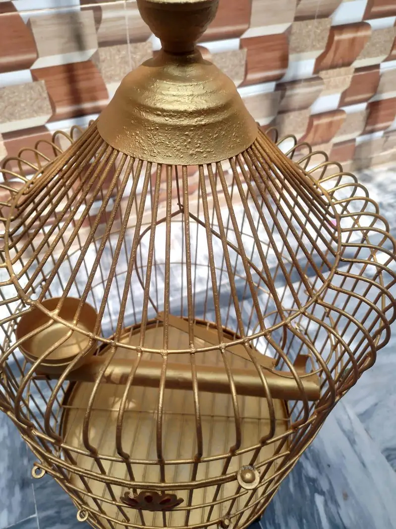 parrots cage — photo 4