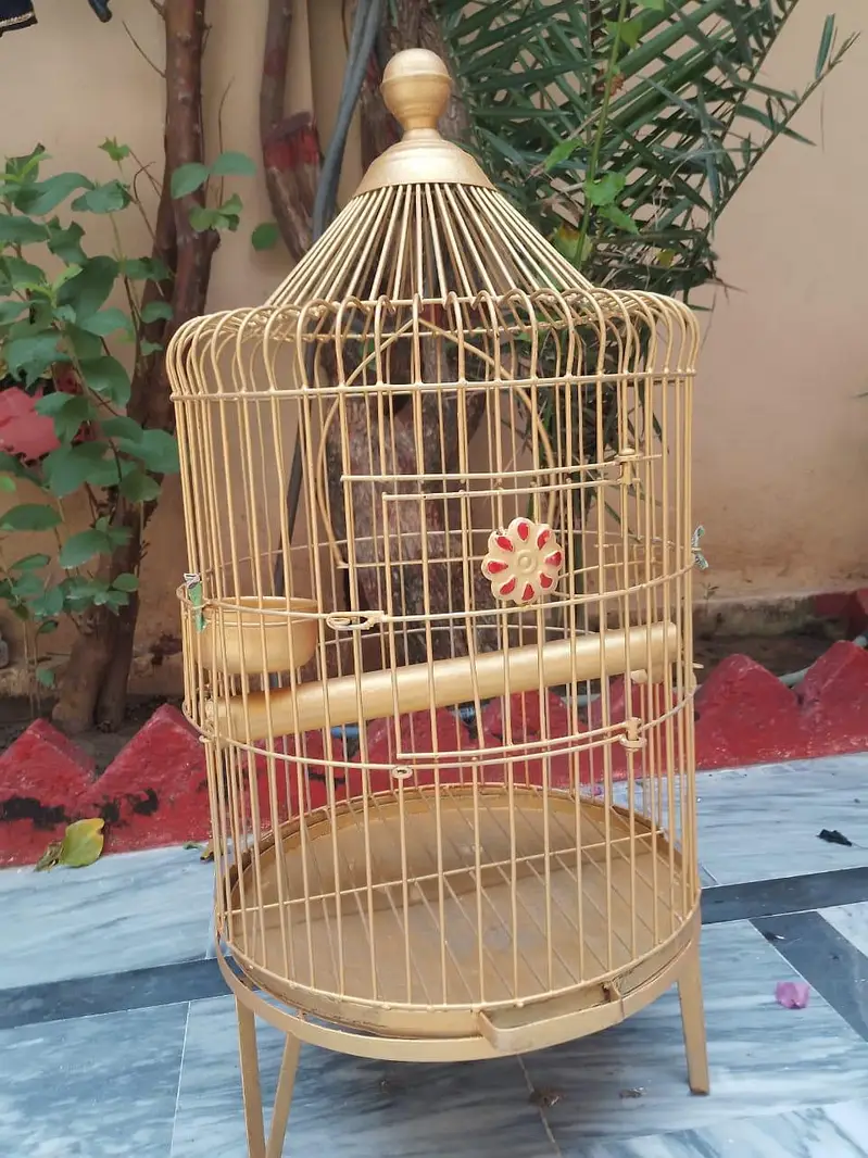 parrots cage — photo 5