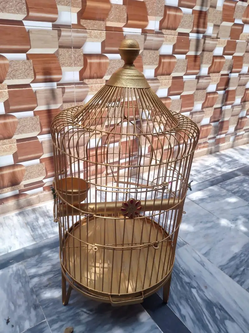 parrots cage — photo 6