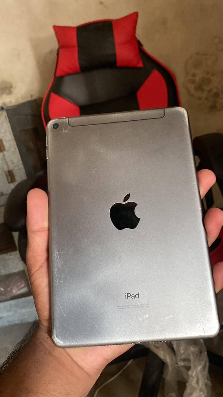 ipad mini 5 PUBG King 2