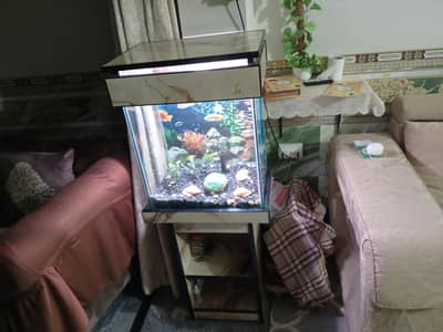 Fish Aquarium New
