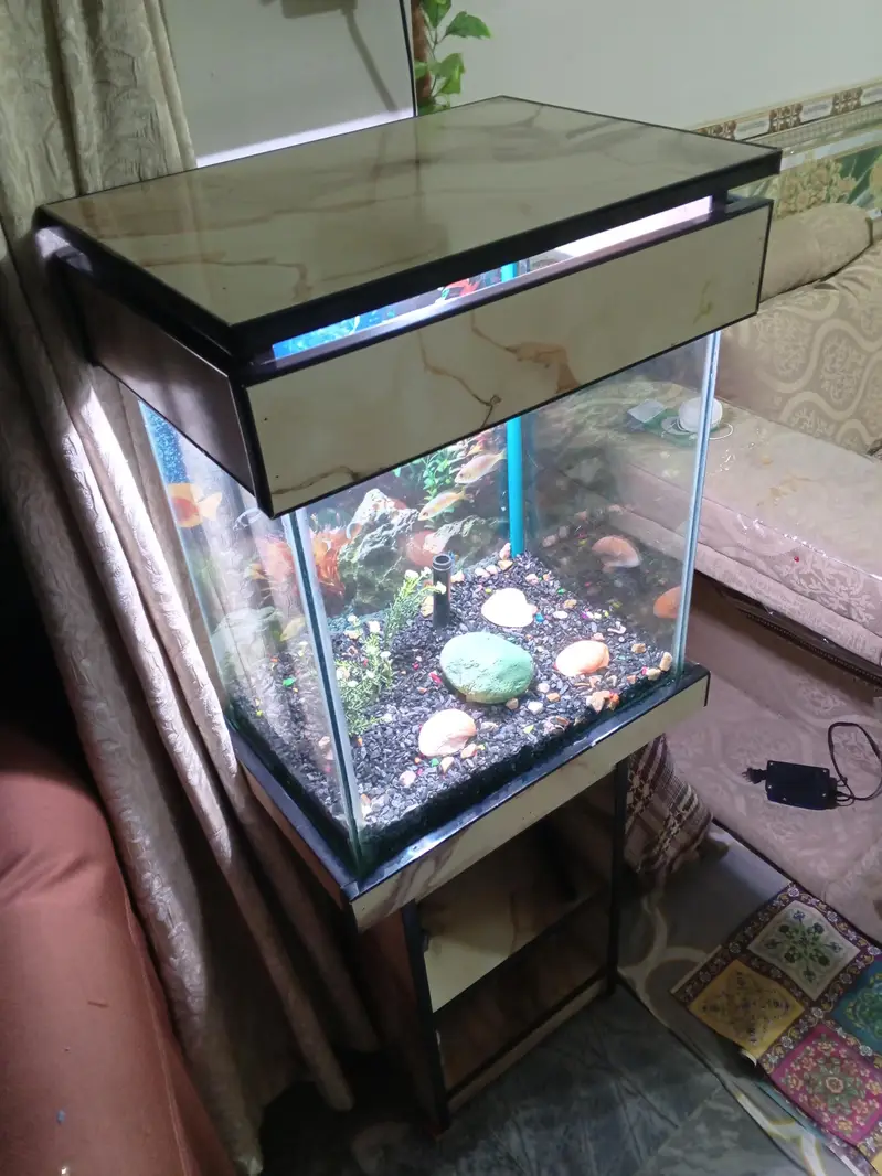 Fish Aquarium New — photo 3