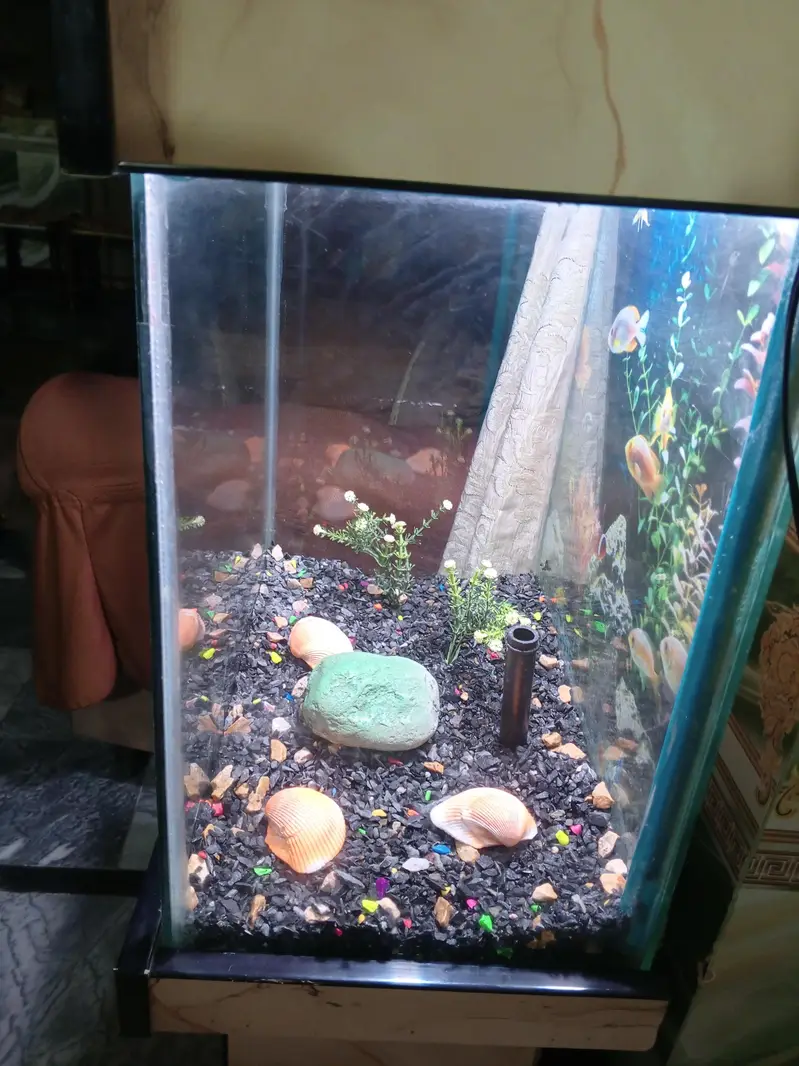 Fish Aquarium New — photo 5