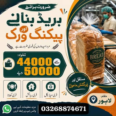 Urgent Packing Staff Needed For Dawn Bread Factory
