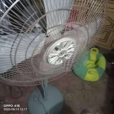 pedistal fan