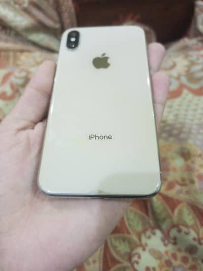 Apple iPhone X Waterpack