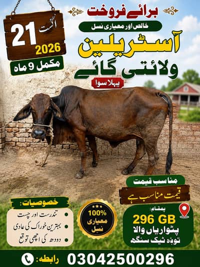 pahla soa . gay. 296 GB patwariyan wala toba Tek Singh. 03042500296