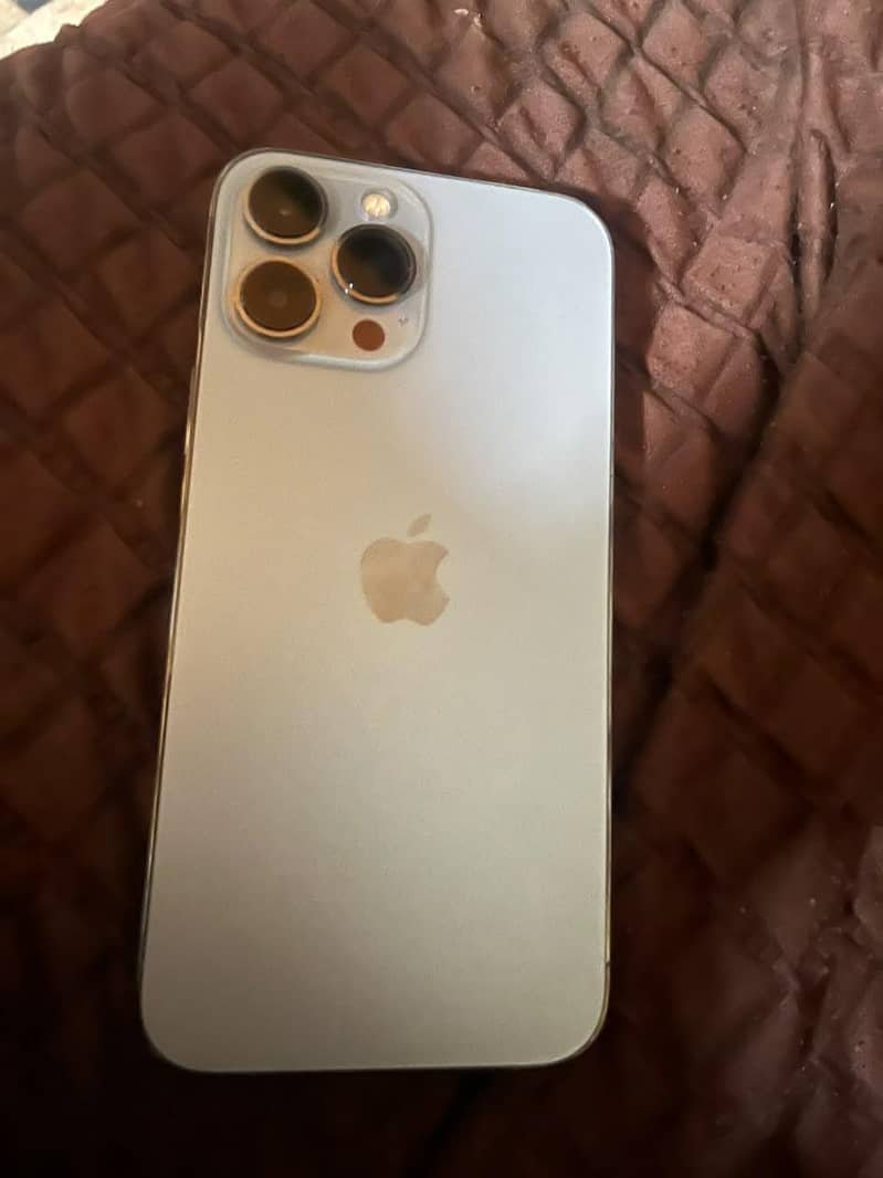 Apple iPhone 13 Pro Max 1