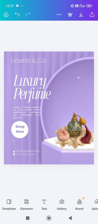 professional social media posts and product poster designer