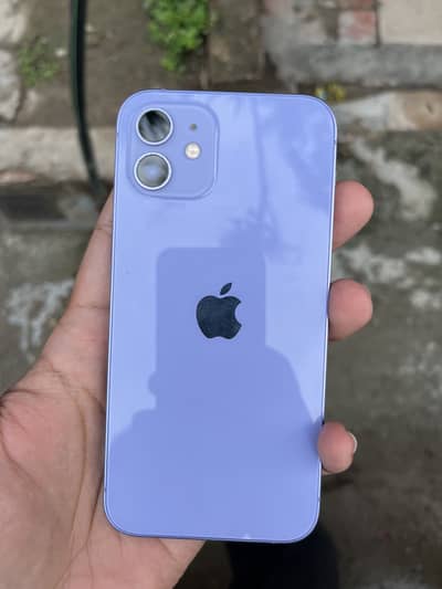 Apple iPhone 12
