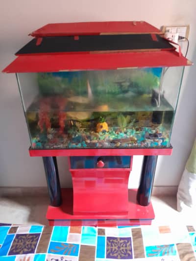 fish aquriuim