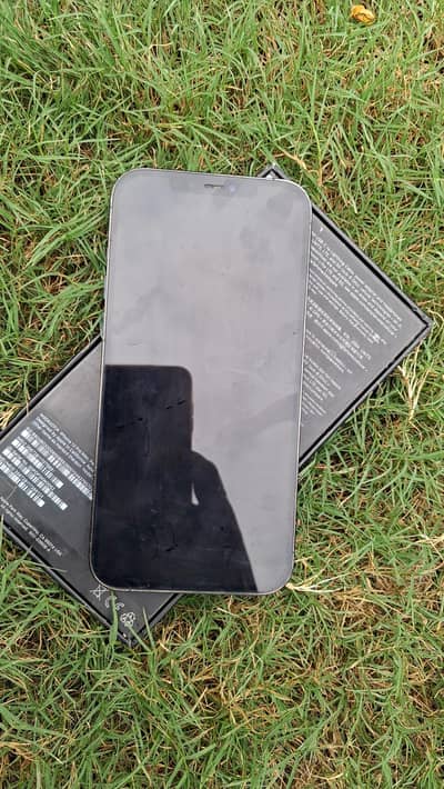 Apple iPhone 12 Pro Max