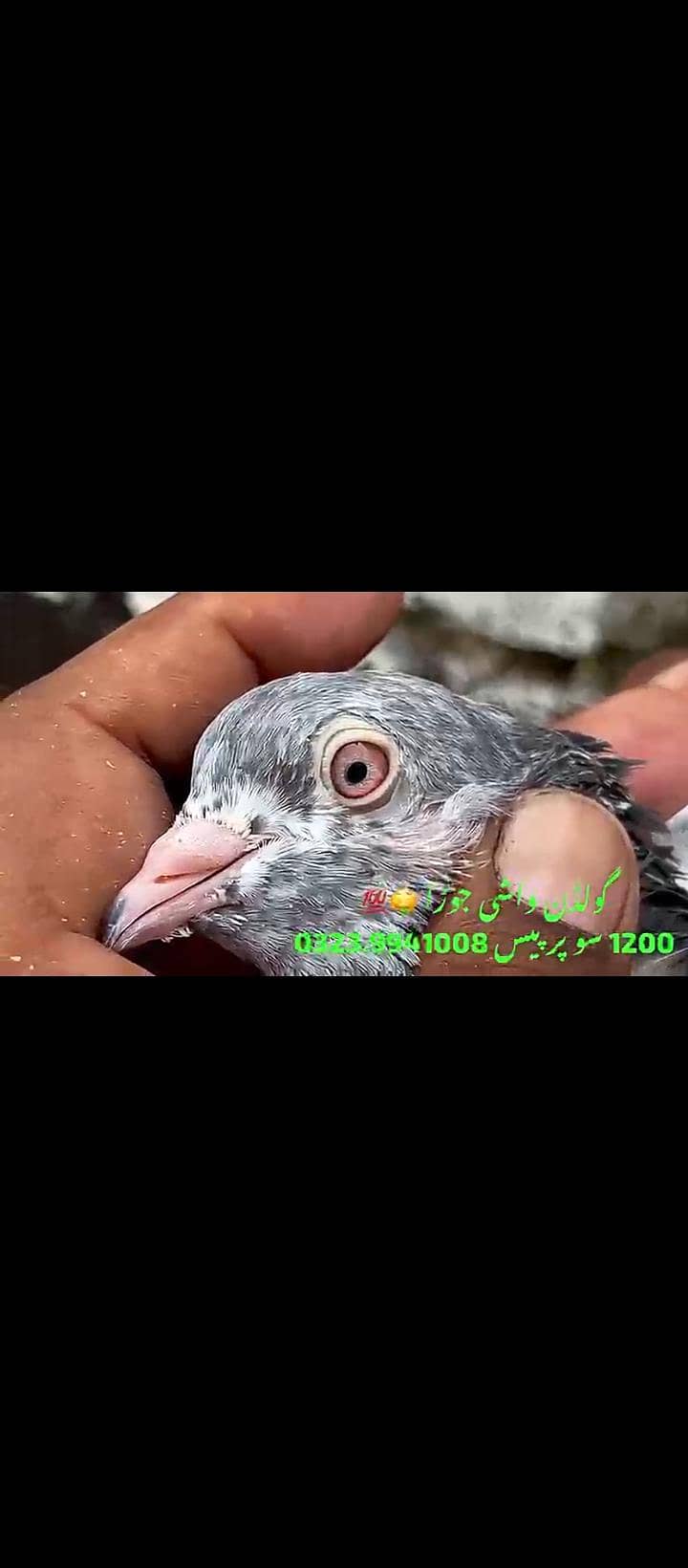 title 2