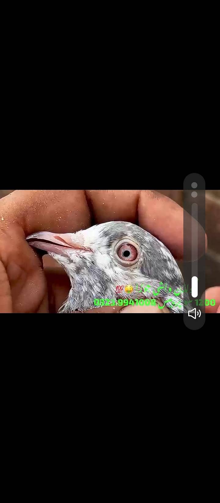 title 3