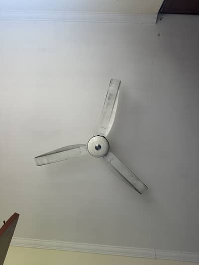 Royal ceiling fan