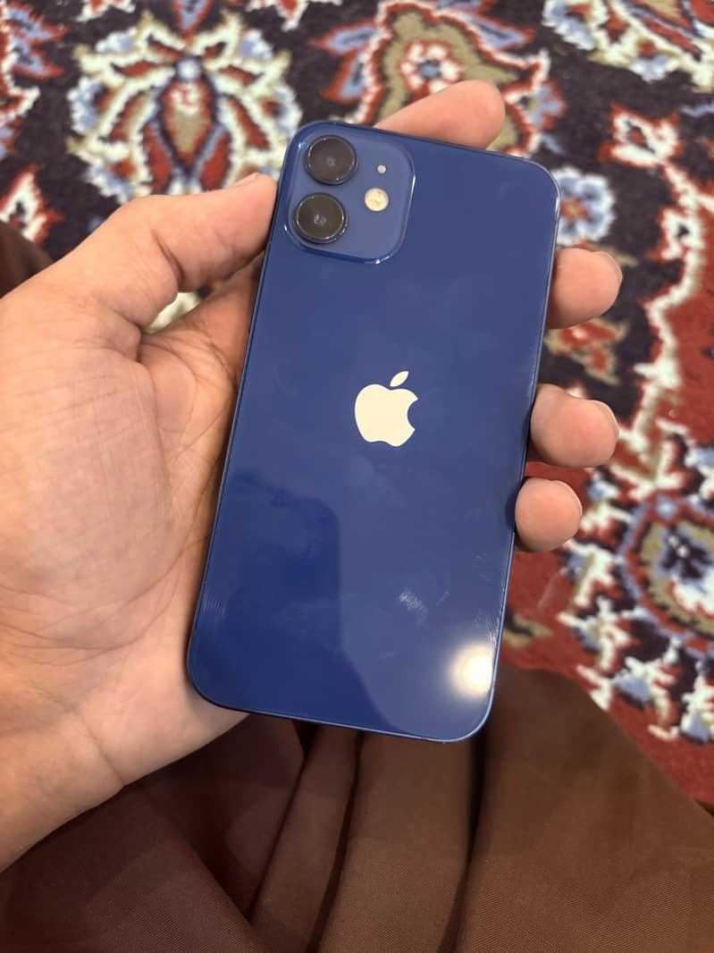 Apple iPhone 12 mini 0