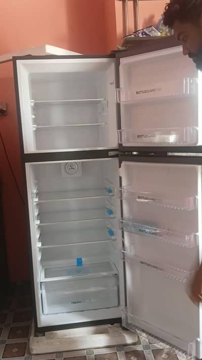 Hair Fridge Digital Inverter Glass Door