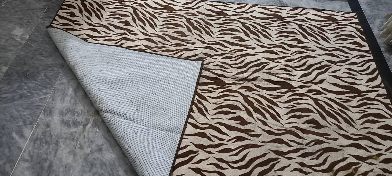 carpet used 1
