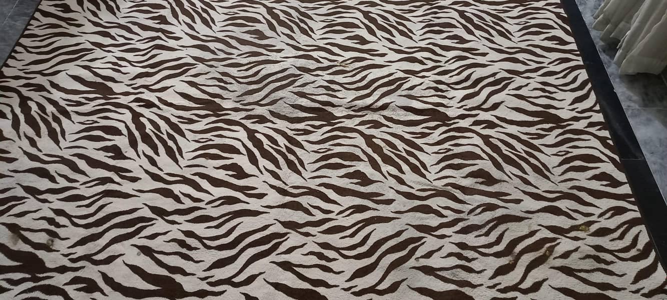 carpet used 2