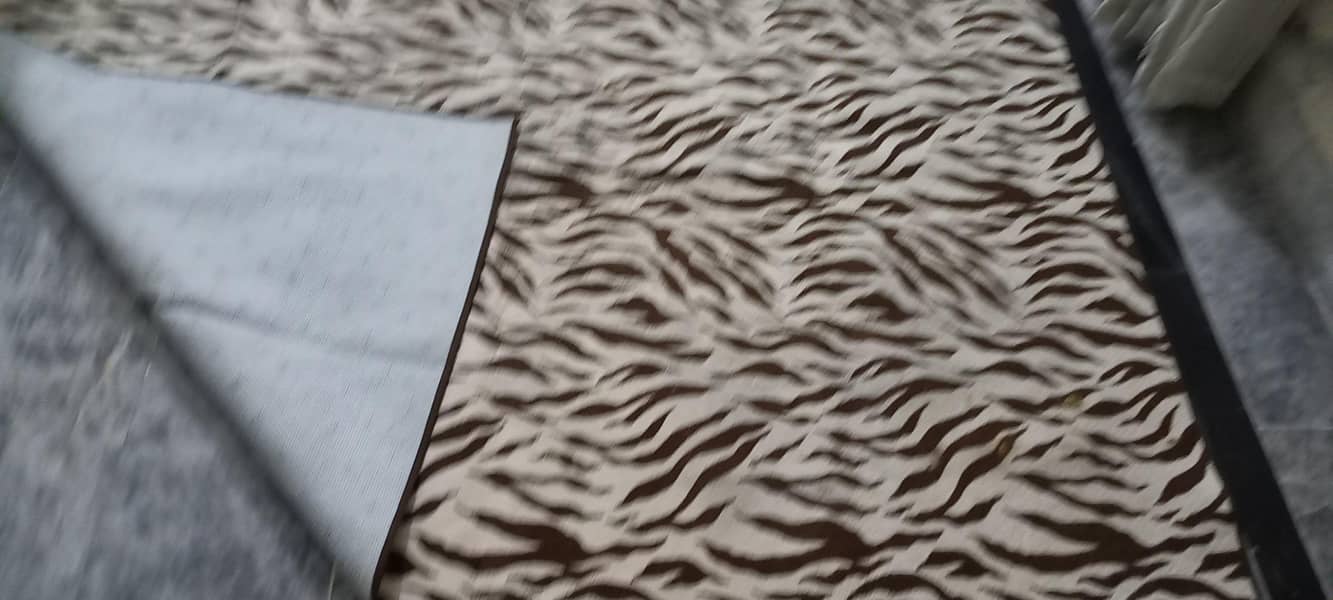 carpet used 4