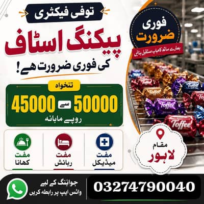 Need Urgent Packing Staff for Biscuit Factory