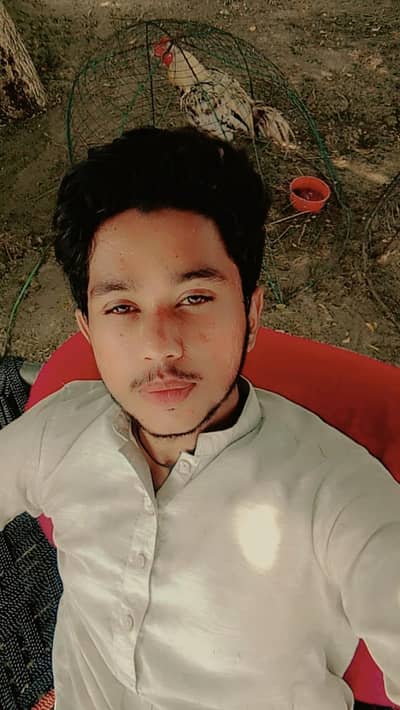 need job