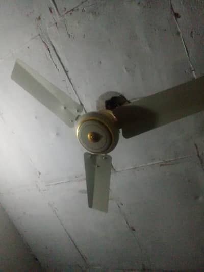 2 Fan Urgent for sale