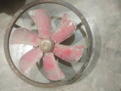 fan 03237867617