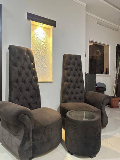 Elegant Luxury Velvet Sofa Chairs