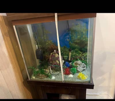 fish aquarium with pump
