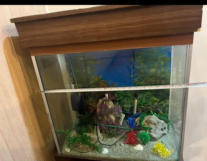 fish aquarium with pump — photo 2