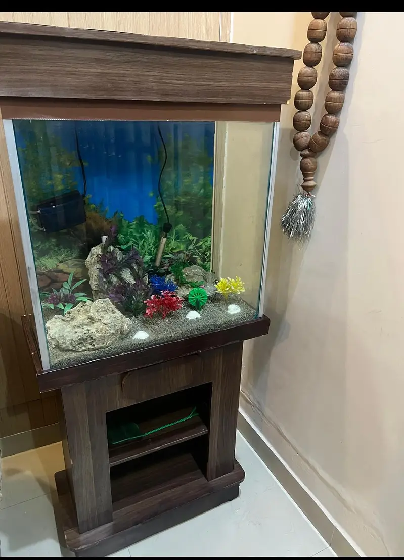 fish aquarium with pump — photo 4