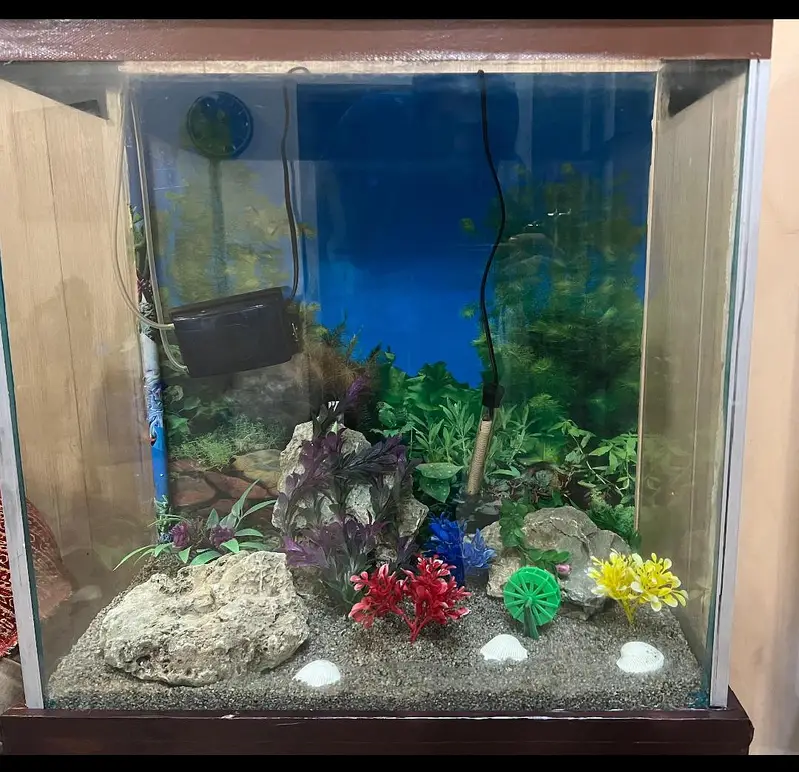 fish aquarium with pump — photo 5