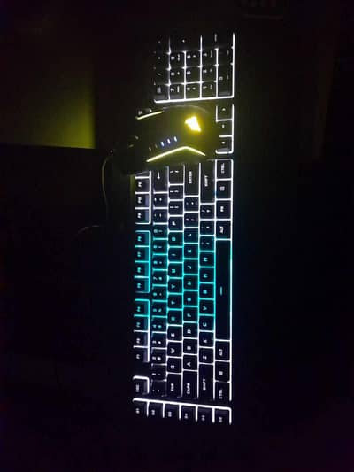Corsair Gaming Keyboard & Mouse