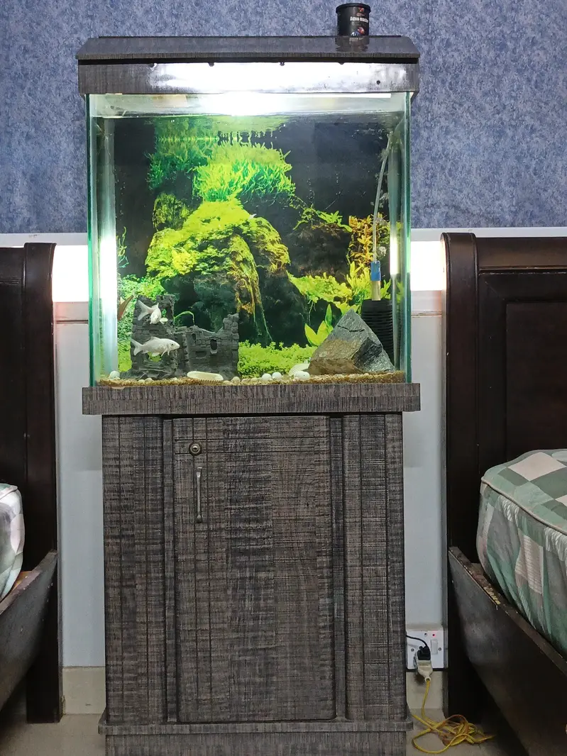 Aquarium for sale 2×2