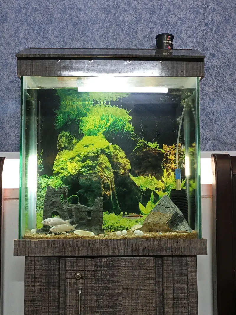 Aquarium for sale 2×2 — photo 2