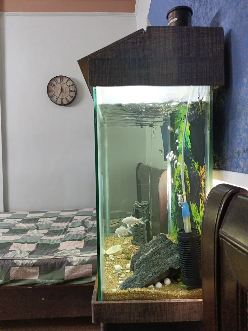 Aquarium for sale 2×2 — photo 3