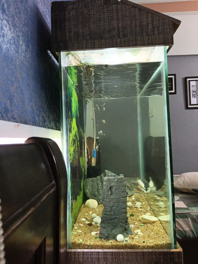 Aquarium for sale 2×2 — photo 4