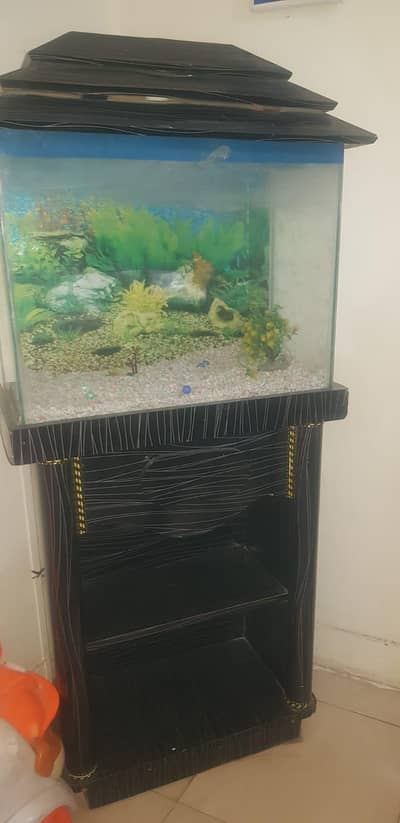 Fish Acqurium