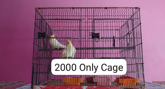 Cages for sale