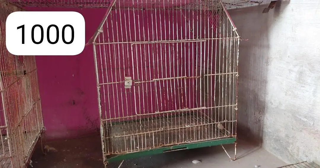 Cages for sale — photo 2