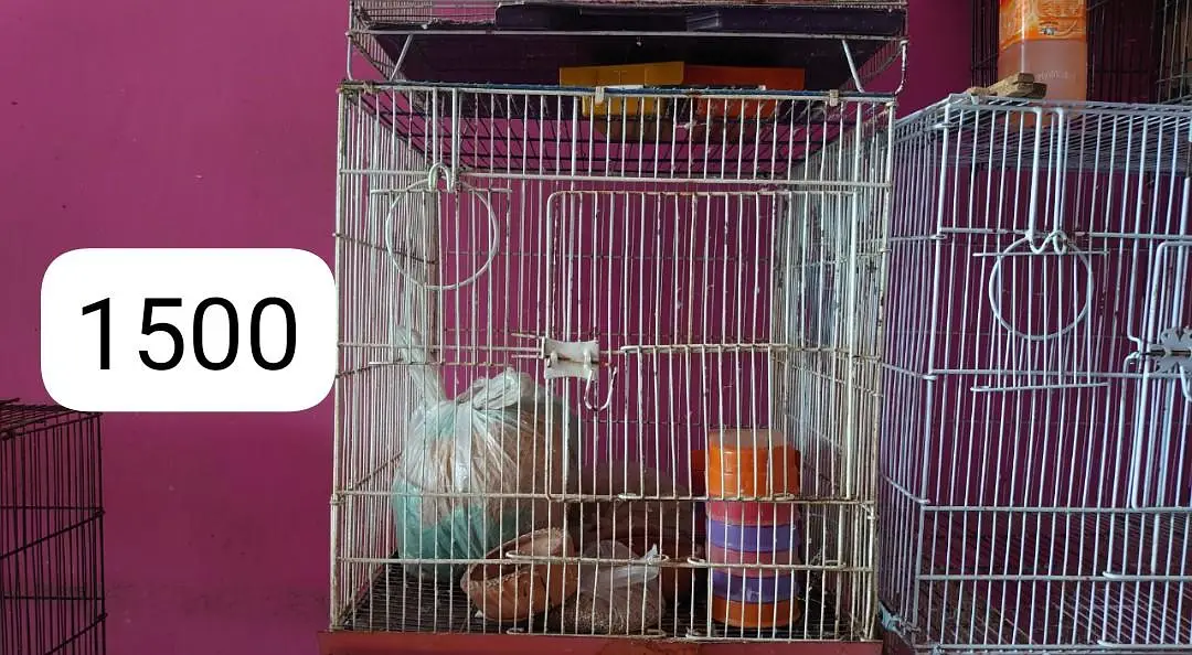 Cages for sale — photo 4