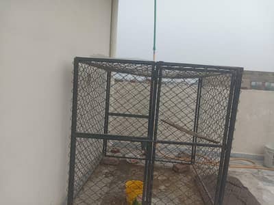 heavy duty iron bird cage
