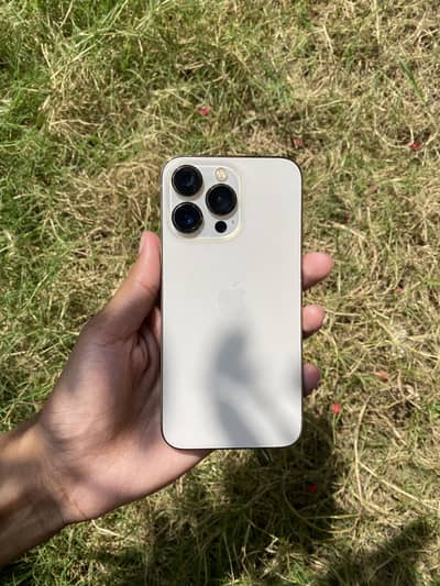 Apple iPhone 13 Pro
