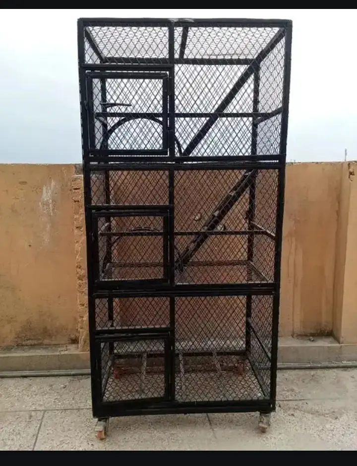 Cages | bird cage | iron cage | portion cage | moveable cage | pinjra — photo 3
