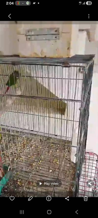 02 Cages for sale